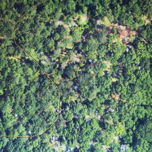 Removing Unwanted Trees for Deer Habitat Enhancement