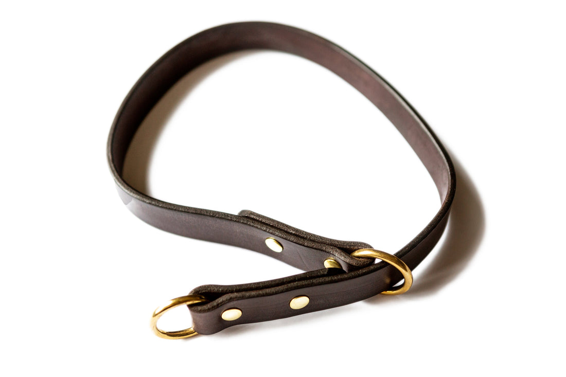 Durham Dog Training Flank Collar