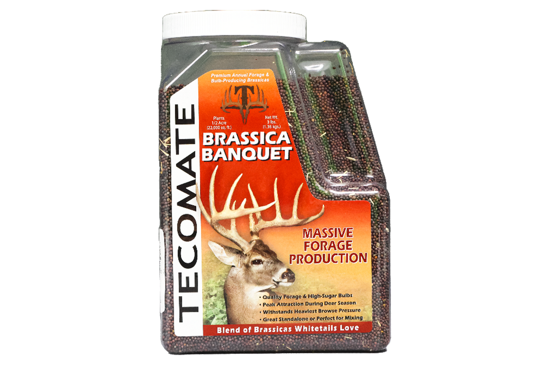 Brassica Banquet — Deer Food Plot Seed