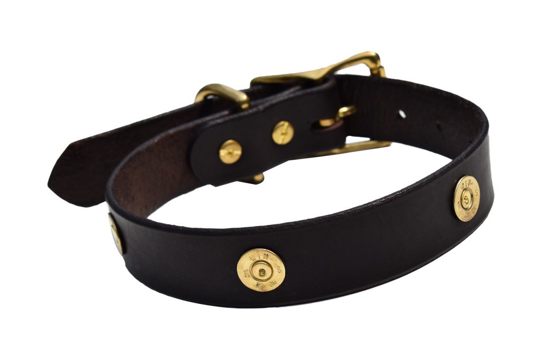 Dog Collar Decorated With Shotgun Shells