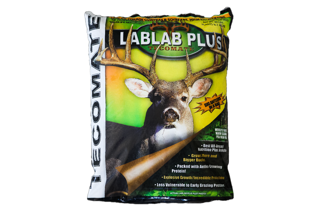 Lablab Plus — Deer, Turkey, & Game Bird Food Plot Seed