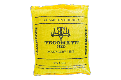 Champion Chicory — Deer Food Plot Seed
