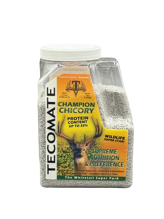 Champion Chicory — Deer Food Plot Seed
