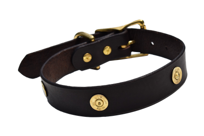 Dog Collar Decorated With Shotgun Shells