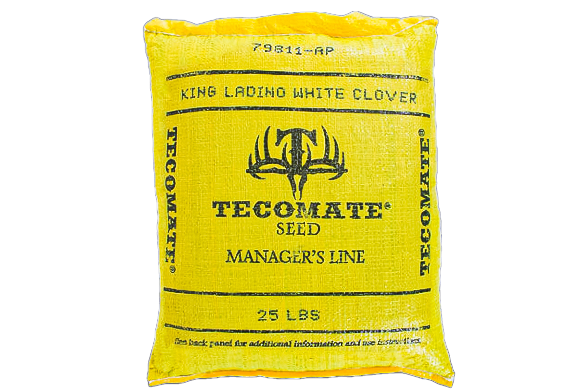 King Ladino White Clover — Deer & Turkey Food Plot Seed