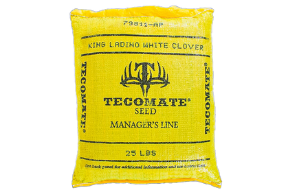 King Ladino White Clover — Deer & Turkey Food Plot Seed