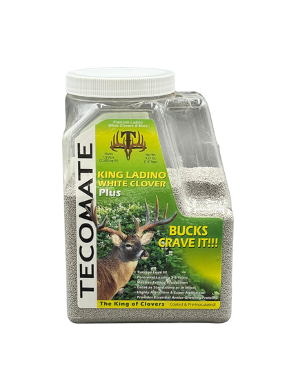 King Ladino White Clover — Deer & Turkey Food Plot Seed