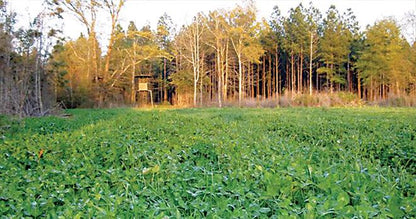 Max-Attract — Deer & Turkey Food Plot Seed